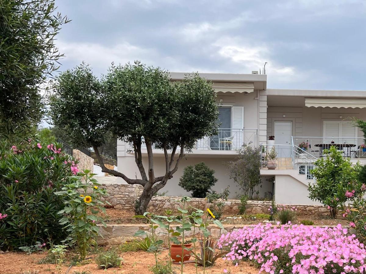 Villa Maxima Lavrio Thorikon ภายนอก รูปภาพ